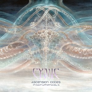 Image for 'Ascension Codes (instrumentals)'