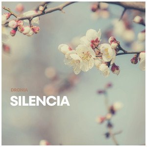 Image for 'Silencia'