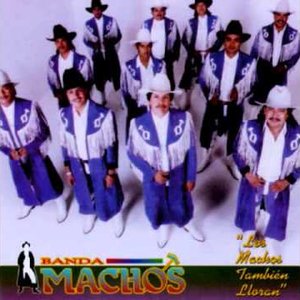 “Los machos también lloran”的封面