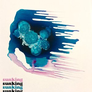 Image for 'SUNKING'