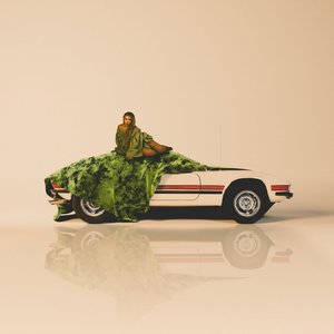 Image for 'Rara e Brasileira'