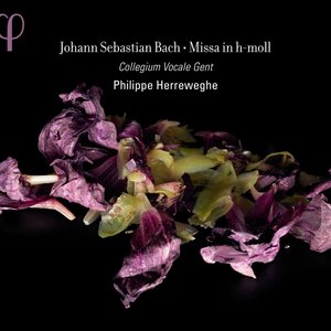 Image for 'Bach: Missa in h-moll'