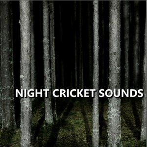 Immagine per 'Night Cricket Sounds'