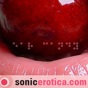 Image for 'Sonic Erotica Teasers'