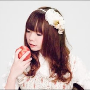 “OSTER project”的封面