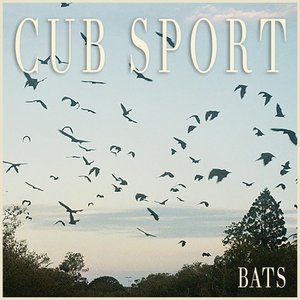 “BATS”的封面