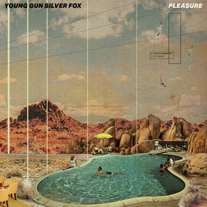 “Pleasure”的封面