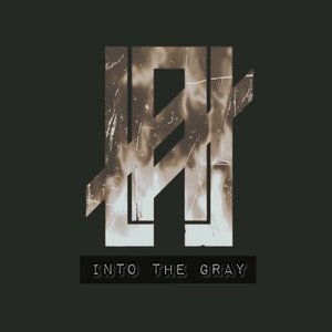 Image for 'Into The Gray'