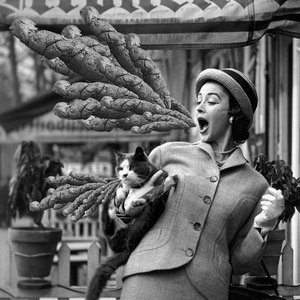 Image for 'Shirts & Gurgles'