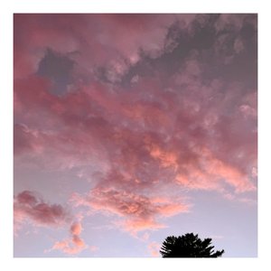 Image for 'august.'
