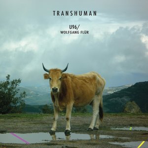 “Transhuman”的封面