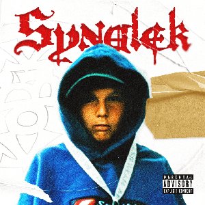 Image for 'SYNALEK'