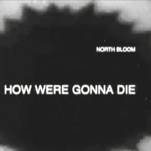 “How We're Gonna Die”的封面