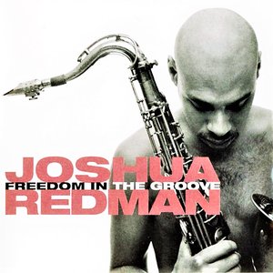 Image pour 'Freedom in the Groove'