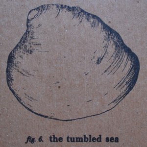 Image for 'The Tumbled Sea - melody/summer LP'