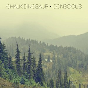 Image for 'Conscious'