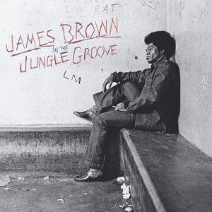 Изображение для 'In the Jungle Groove'