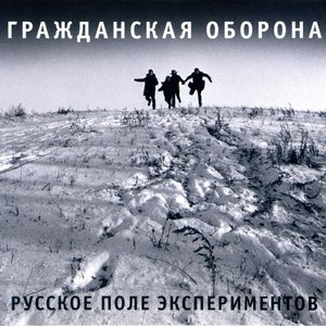 Image for 'Русское поле экспериментов'