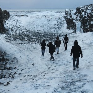 Bild für 'Do Make Say Think'