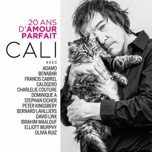 Image for '20 ans d'amour parfait'