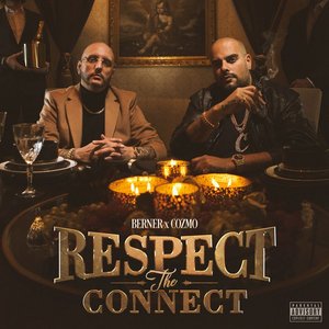 Image for 'Respect The Connect'