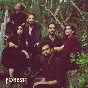 Image for 'Forestt'