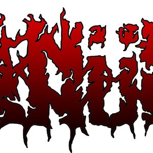 “Anüs”的封面