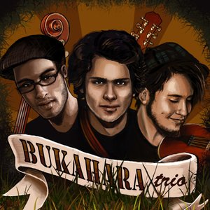 Image pour 'Bukahara Trio'