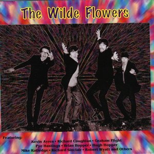 'The Wilde Flowers'の画像