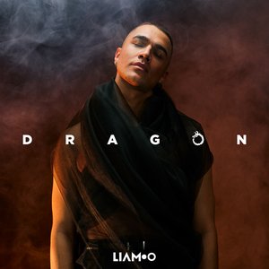 “Dragon”的封面