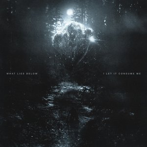 Image for 'I Let It Consume Me'