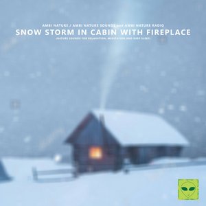 “Snow Storm in Cabin with Fireplace (Nature Sounds for Relaxation, Meditation and Deep Sleep)”的封面