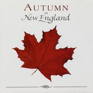 Immagine per 'Autumn In New England'