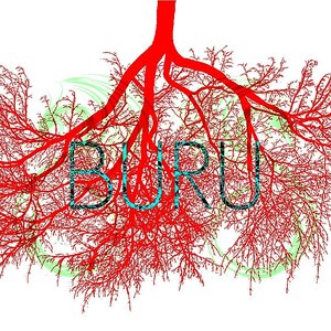 Image for 'Buru'