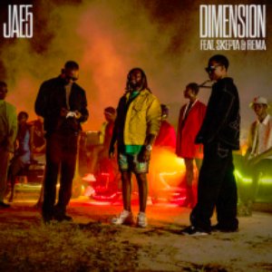 “Dimension (feat. Skepta & Rema)”的封面
