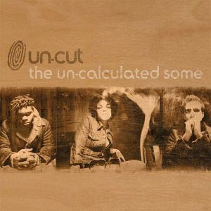 Image for 'The Un-Calculated Some'