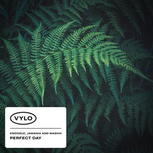 Image for 'Perfect Day'