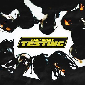 “TESTING”的封面