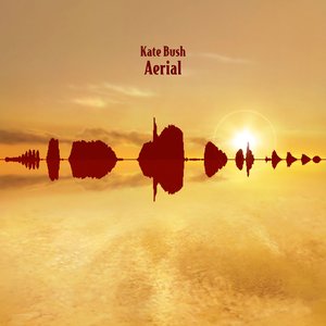 “Aerial”的封面