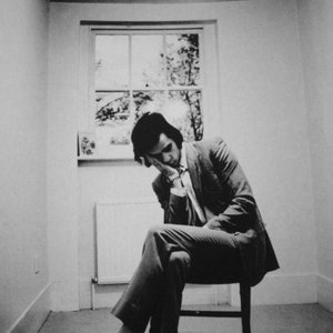 Image pour 'Nick Cave & the Bad Seeds'