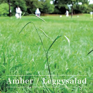 Image for 'Amber'