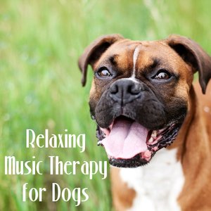 Image for 'Relaxing Music Therapy for Dogs – Mellow Sounds to Calm Down Your Pet While You Are Out, Soft Instrumental Music for Puppies'