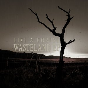 Image for 'Wasteland'