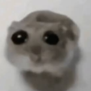 Abobora2