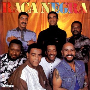 Image for 'Raça Negra - Vol. 4'