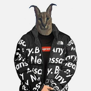 Y4N_SM