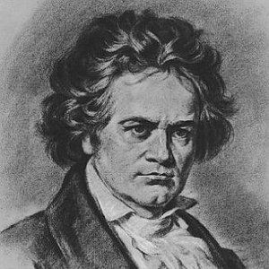 Image for 'L.V. Beethoven'