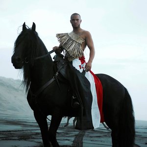 “Stan Walker”的封面