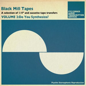 Image pour 'Black Mill Tapes Vol.2'