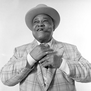 “Roosevelt Sykes”的封面